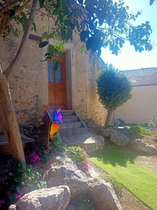 Le Clos Du Pin Thezan-les-Beziers Екстериор снимка